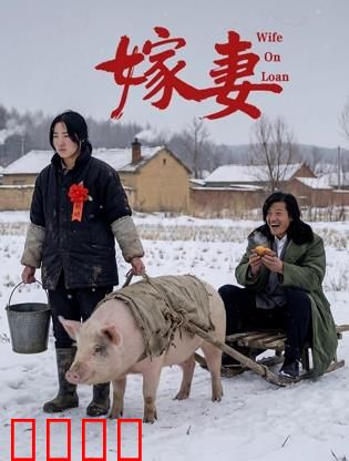 嫁妻：交易背后的真相