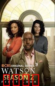 华生第二季：惊天阴谋再起