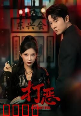 打恶：卧底风云