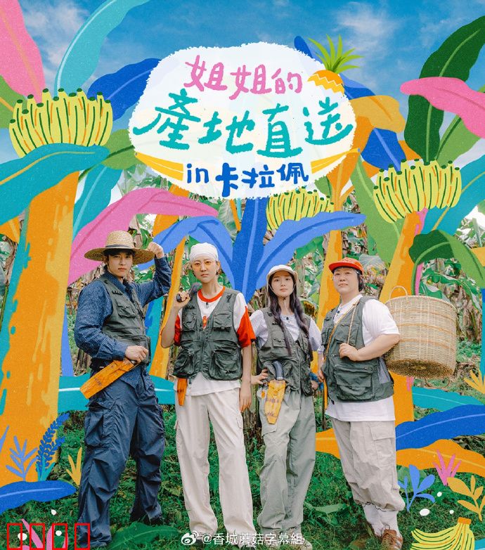 姐姐家的产地直送3：亲情与隐私的边界