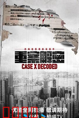 《重案解密国语》：真相迷宫