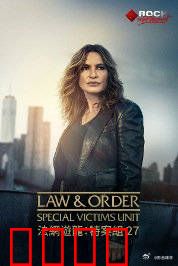 法律与秩序：暗夜追凶