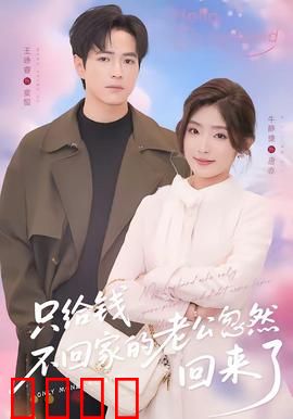 只给钱不回家的老公忽然回来了：妻子的秘密