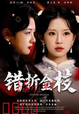 错折金枝：公主逆袭记