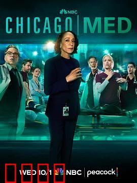 芝加哥急救第十一季：生死时速