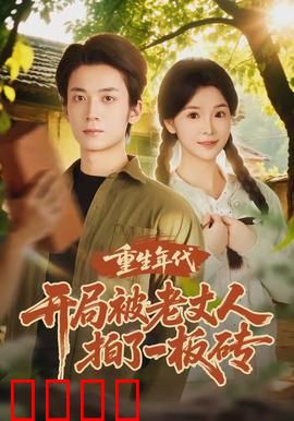 重生年代开局被老丈人拍了一板砖：逆袭风云