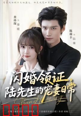 闪婚领证，陆先生的宠妻日常：总裁的独宠