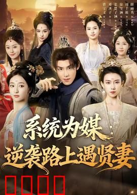 系统为媒逆袭路上遇贤妻：逆袭人生遇良缘