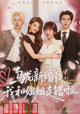 乌龙新婚夜，我和姐姐走错啦：双胞奇缘
