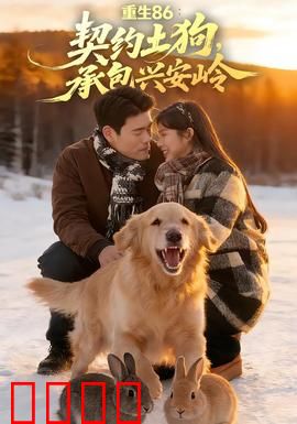 《重生86：复仇归来》