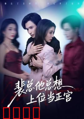 裴总他总上位当正宫：总裁翻身记