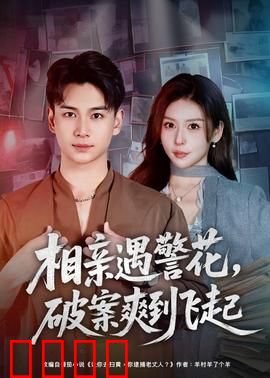相亲遇警花，破案爽到飞起：甜宠探案