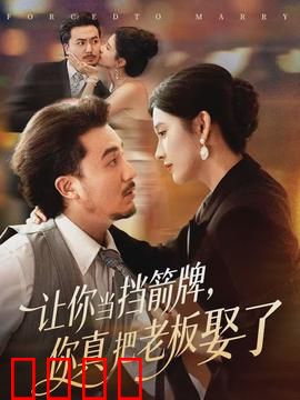 让你当挡箭牌，你真把老板娶了：职场爱情逆袭