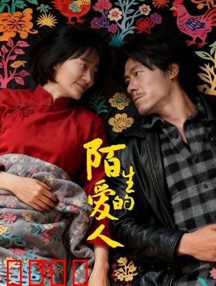 陌生的爱人：记忆碎片