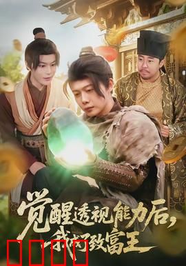 觉醒透视能力后，我成了致富王：透视致富