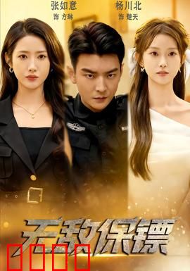 无敌保镖：硬核守护