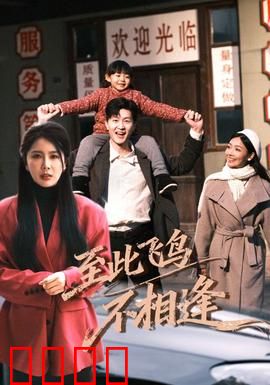 到此飞鸟不相逢：错失的时光