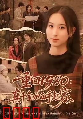 重回1980：中年逆袭