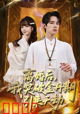 离婚后，我突破金丹期，引来天劫：雷劫淬体