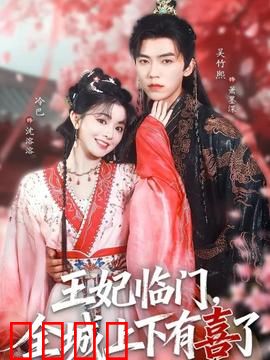 王妃临门全城上下有喜了：穿越王妃逆袭