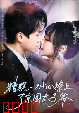 糟糕，一不小心撩上了京圈太子爷：意外情缘