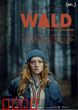 走出丛林：荒野求生