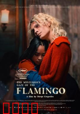 弗拉明戈的神秘眼神：舞动的秘密