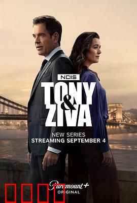 海军罪案调查处：绝密档案