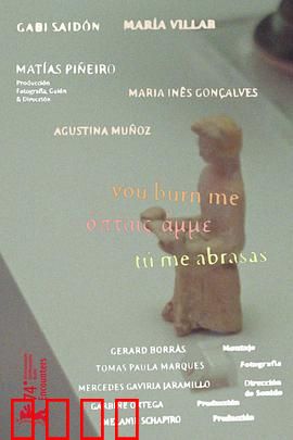 你燃烧了我：爱的烈焰