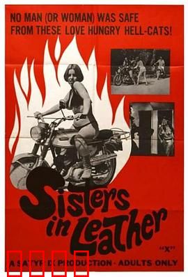 皮衣姐妹：时尚传承