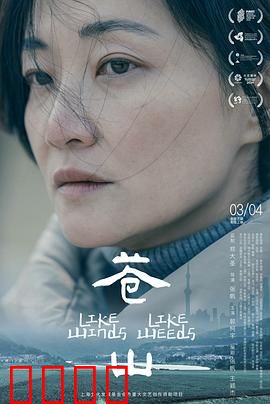 苍山：最后的守望