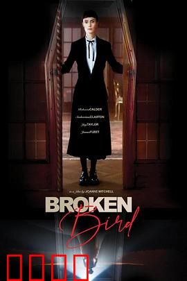 折翼鸟：追寻自由