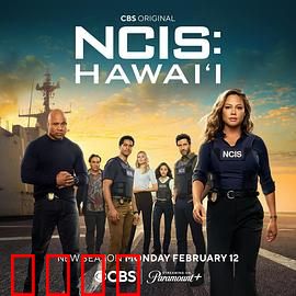 海军罪案调查处：悬疑惊心