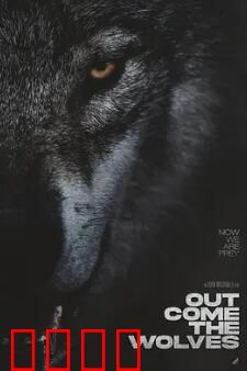 狼群出动：绝境突袭