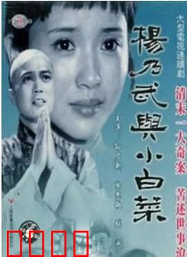 杨乃武与小白菜1990：冤案迷情