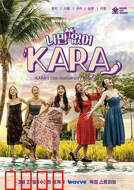 只有没有我，KARA：黑暗中的回音