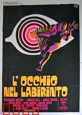 迷宫眼：视觉奇旅