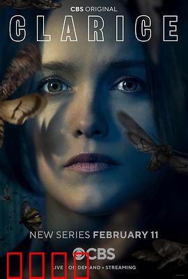 克拉丽斯：沉默之后