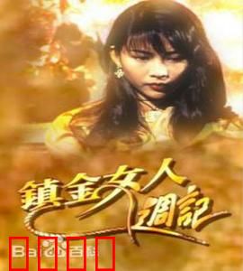 镇金女人周记粤语：精英蜕变记