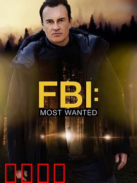 联邦调查局：惊天阴谋