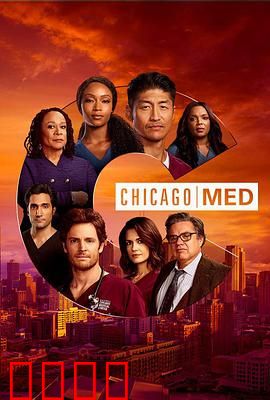 芝加哥急救第六季：生死速递