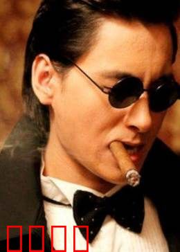 百合绽放：心之所向