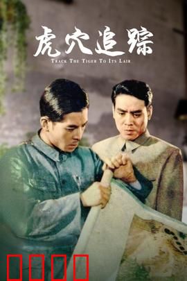 虎穴追踪：智取毒枭