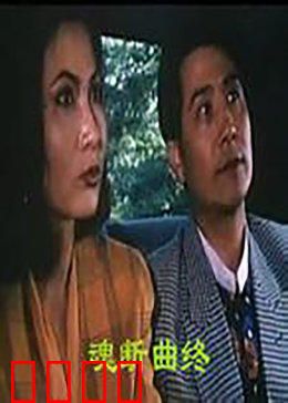 魂断曲终：梦里花落知多少