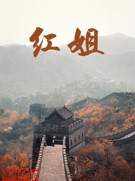 红姐2017：风尘中的觉醒