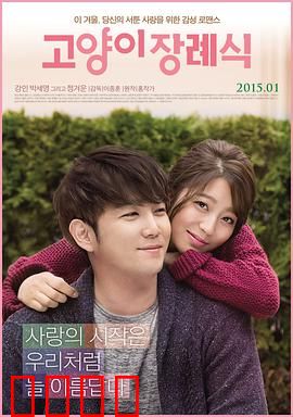 猫的葬礼：爱与离别的治愈