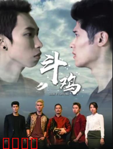 斗鸡：公鸡引发的闹剧