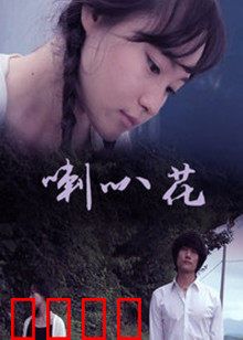 牵牛花：夏日物语