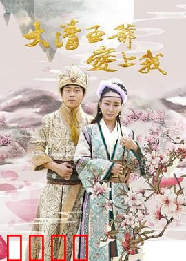 大清王爷爱上我：王爷的另类追妻路