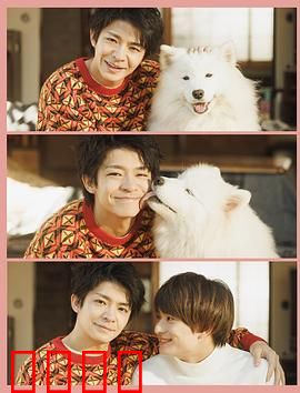 爱你汪汪：狗狗天使的守护